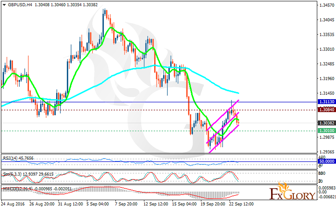 Forex glory