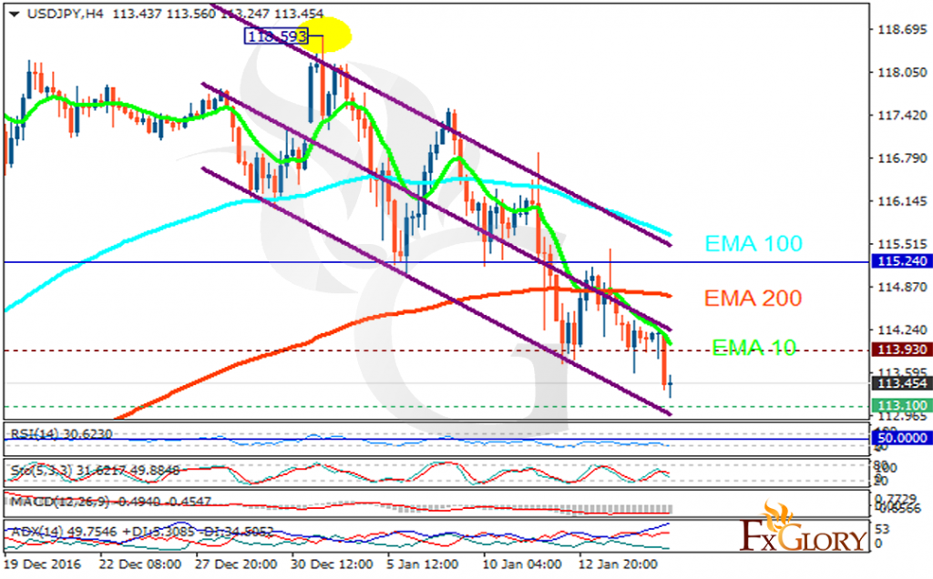 7 star forex