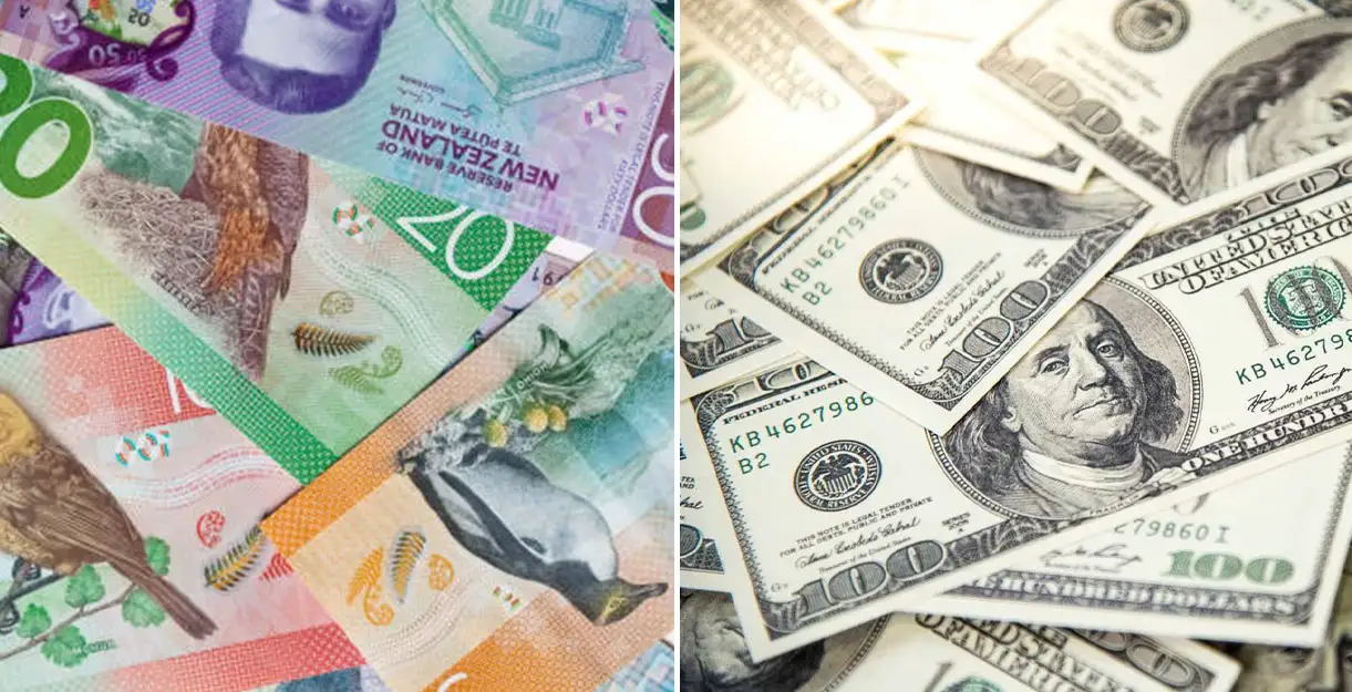 New Zealand dollar banknotes on the left, US dollar banknotes on the right