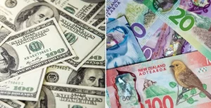 NZDUSD- The image shows US dollars on the left and New Zealand dollars on the right 2024