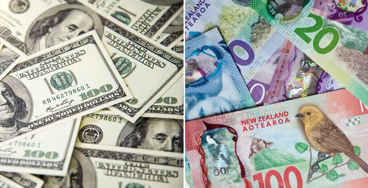 NZDUSD- The image shows US dollars on the left and New Zealand dollars on the right 2024