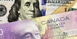 loonie-canadian-dollar-us--bills