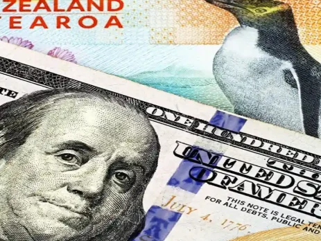 NZDUSD H4 Technical and Fundamental Analysis for 11.27.2025.featured image.