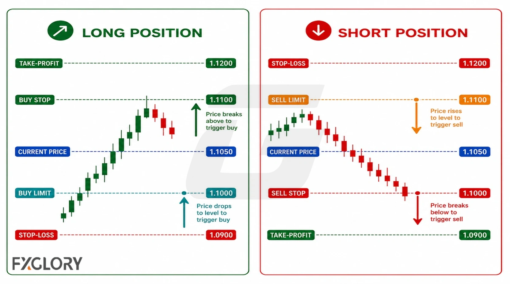 Forex long, short, market order, limit order, stop-loss, and take-profit shown visually.