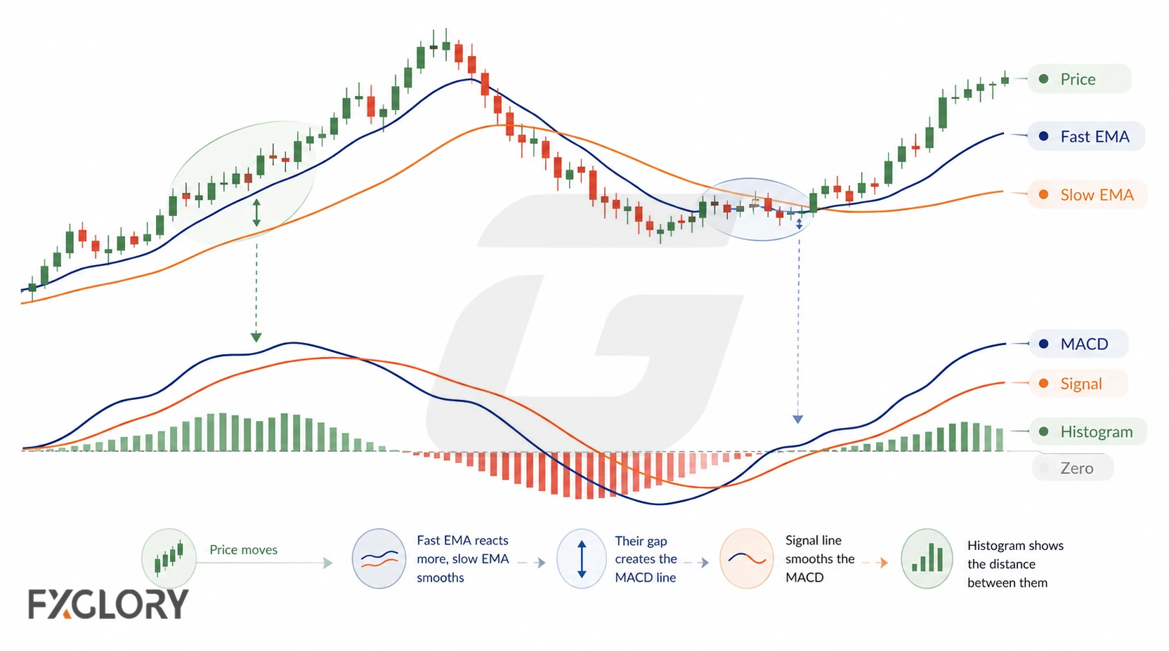 Price is shown with fast and slow EMAs above a MACD panel where the MACD line, signal line, histogram, and zero line respond to changes in the EMA gap.