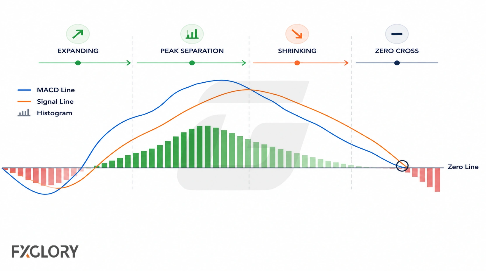 MACD and signal lines move through expanding separation, peak distance, shrinking separation, and a zero cross while histogram bars grow and contract.