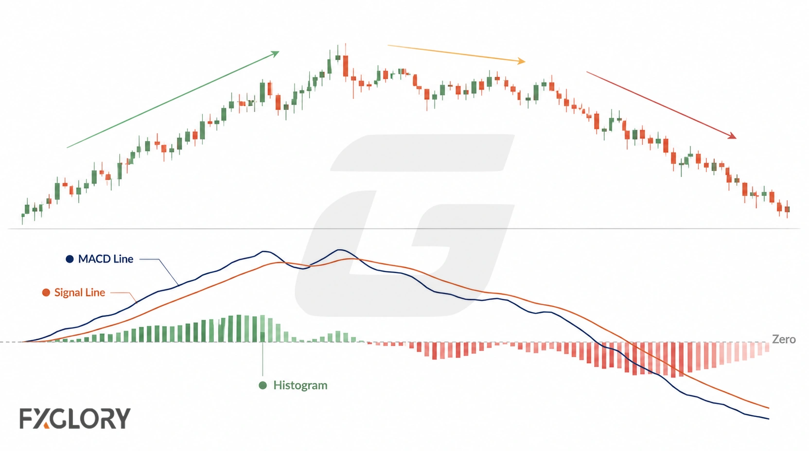 Candlestick price action is paired with MACD and signal lines, a positive and negative histogram, and the zero line as momentum changes.