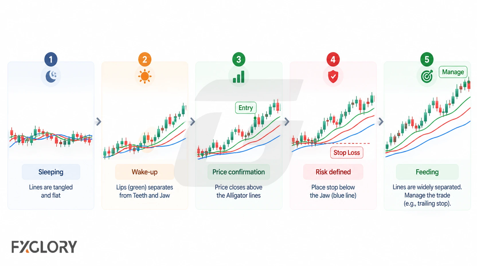 A five-step forex workflow moves from sleeping lines to wake-up, price confirmation, defined risk, and a feeding trend with the Alligator lines separating.