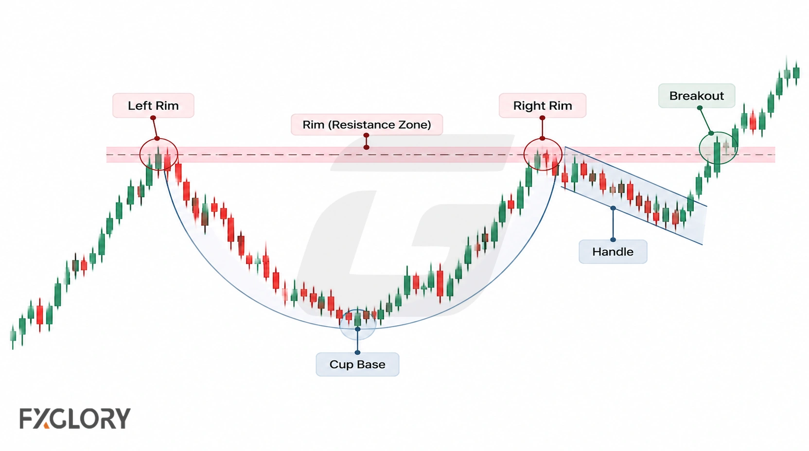 Annotated cup and handle chart showing the left rim, cup base, right rim, handle, resistance zone, and breakout.