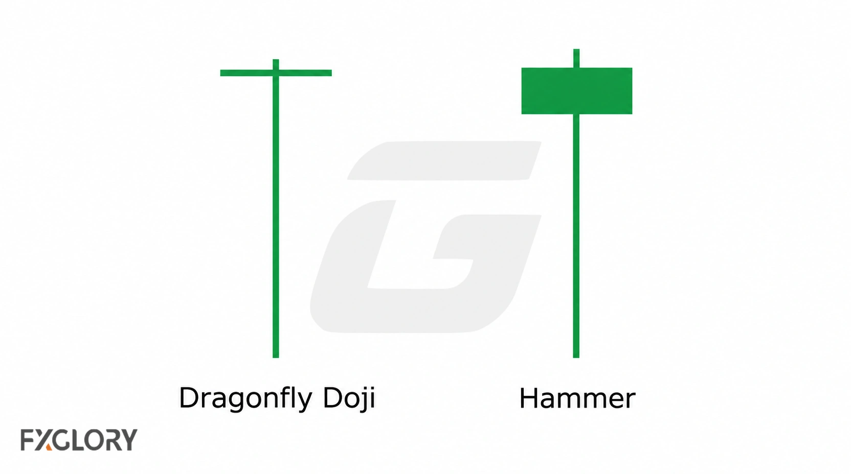 Dragonfly Doji and Hammer compared side by side, highlighting the Dragonfly's nearly flat body and the Hammer's visible real body.