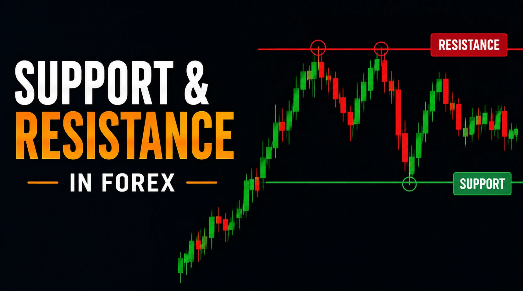 Support and Resistance in Forex Featured Image