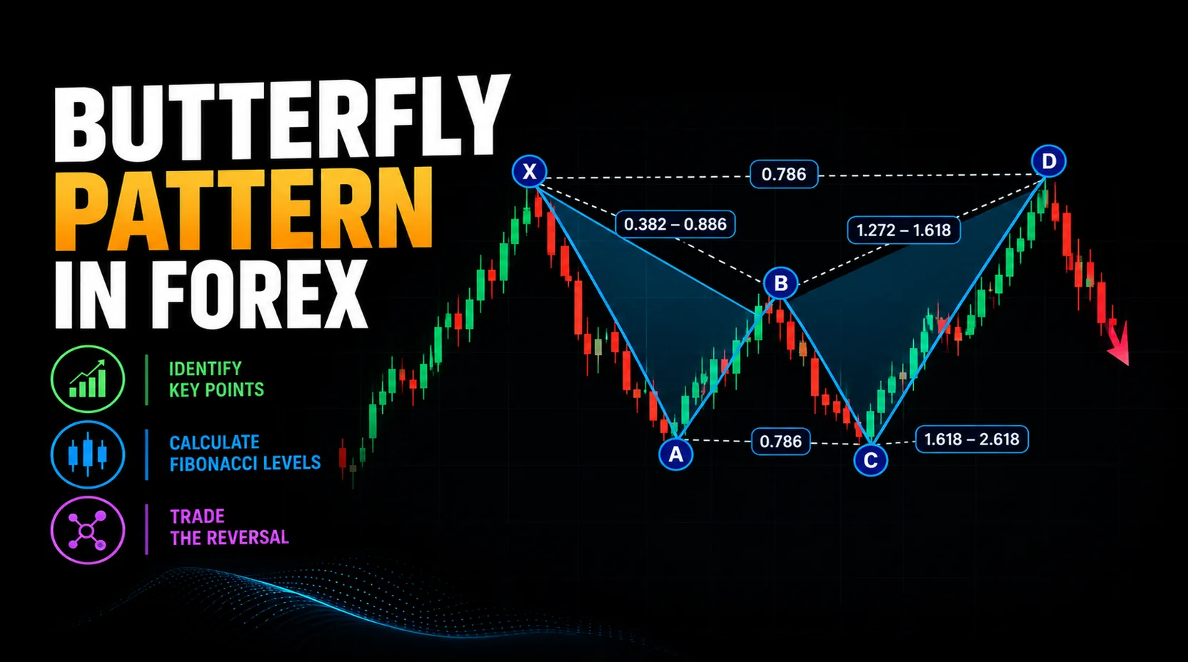 Butterfly Pattern in Forex Featured Image