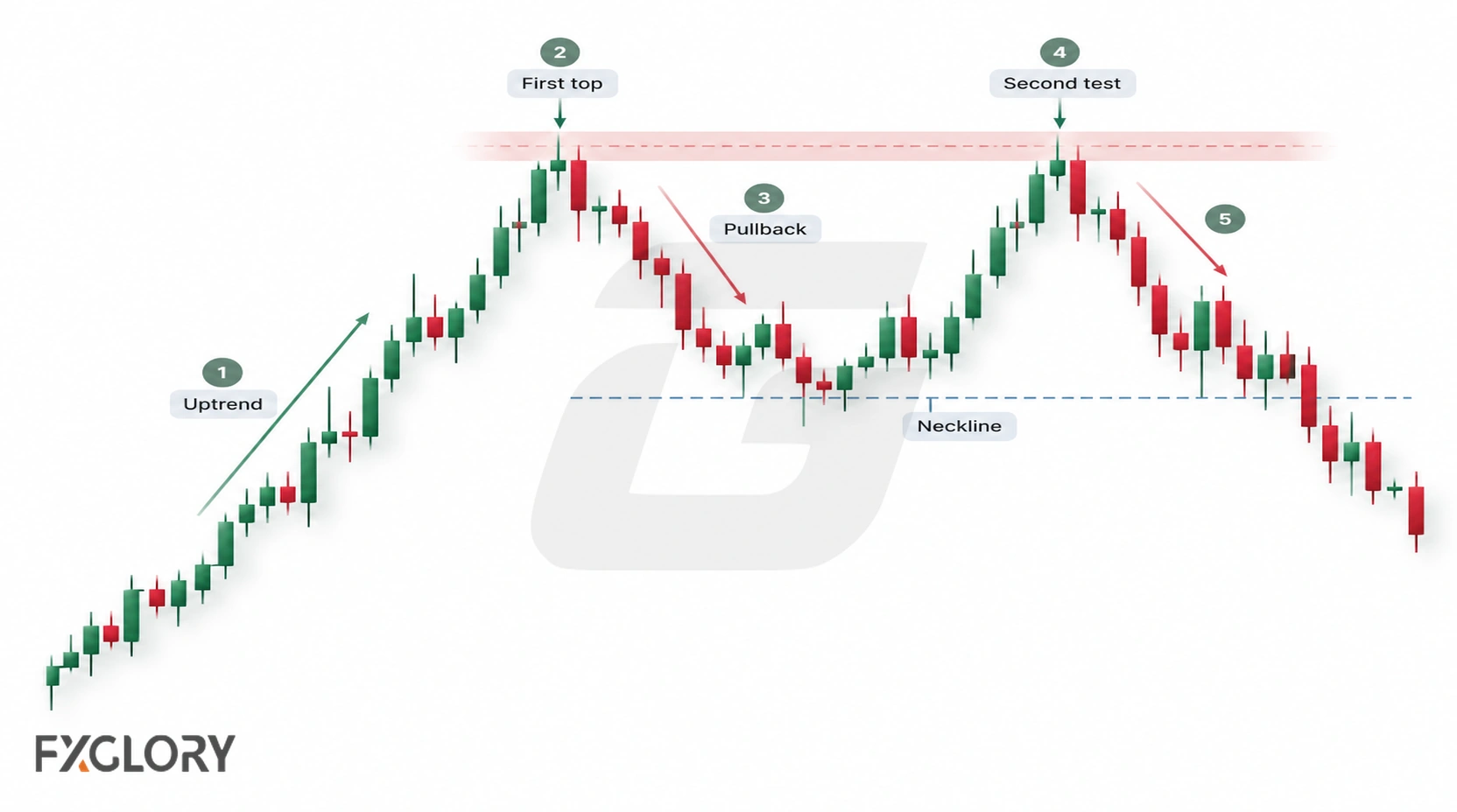 Step-by-step double top formation showing an uptrend, first peak, pullback, second test, neckline, and breakdown.