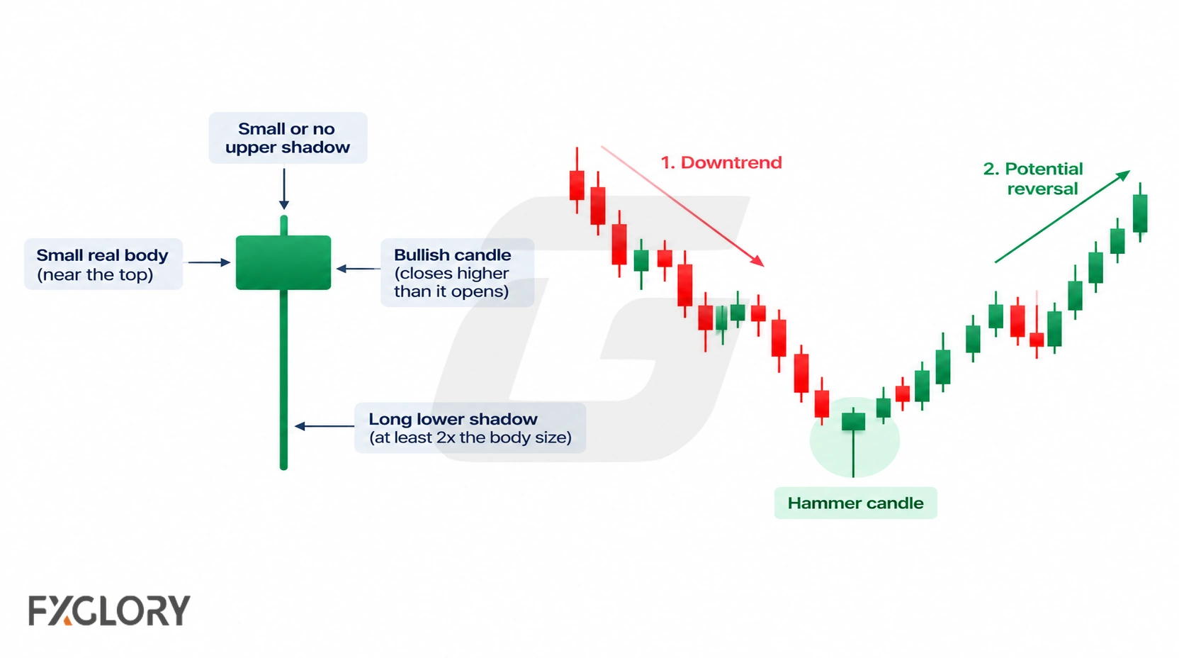 Hammer candle diagram and chart showing its body and wick structure, the preceding downtrend, and the price reaction that follows.