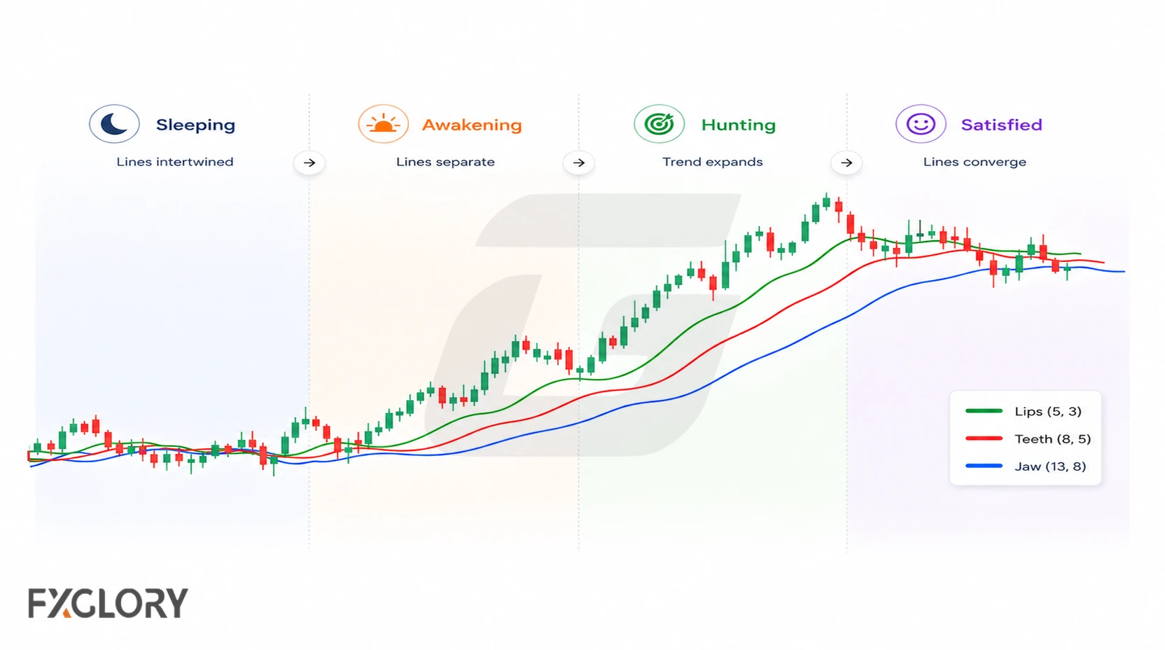 A continuous forex chart shows the Alligator moving through sleeping, awakening, hunting, and satisfied phases as the three lines tangle, separate, trend, and converge.