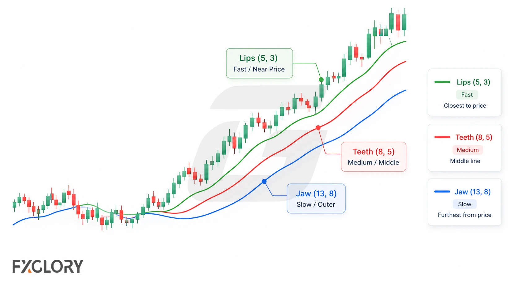 An uptrending forex chart labels the green Lips, red Teeth, and blue Jaw lines, showing their different speeds and distance from price.