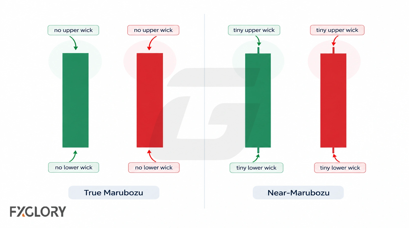 True marubozu candles have no wicks, while near-marubozu candles retain only very small upper or lower wicks.