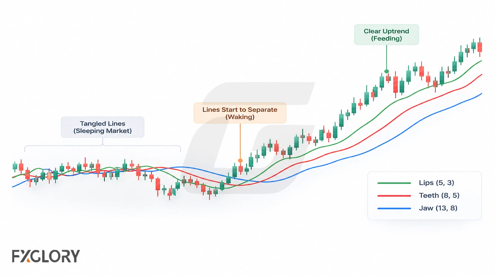 A forex candlestick chart moves from tangled Alligator lines into separated Lips, Teeth, and Jaw lines as a clear uptrend develops.