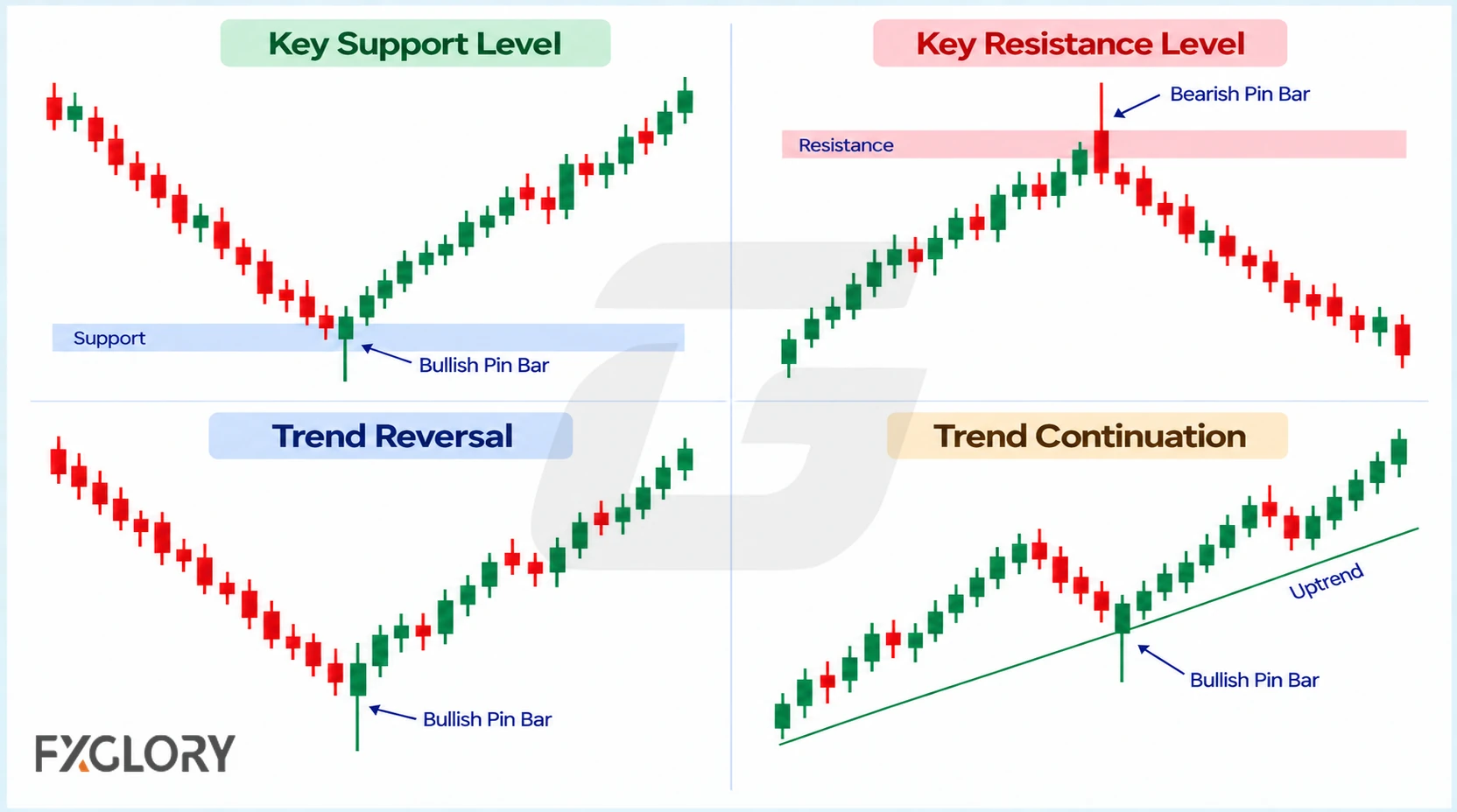 Four chart examples show pin bars forming at support, resistance, a reversal point, and within an established uptrend.